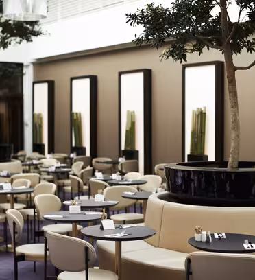 Moderne café med runde borde og cremefarvede stole. Store pottetræer er placeret blandt siddepladser. Spejle og dekorative planter er på væggene, hvilket skaber en rummelig og elegant atmosfære.