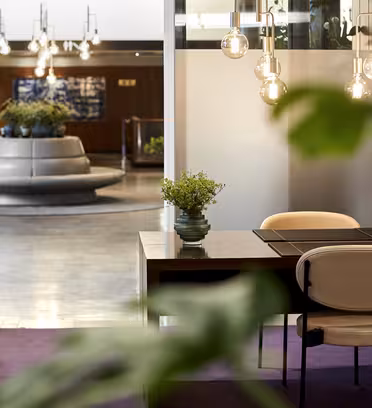 En moderne hotelobby med elegante lysarmaturer over en reception. Et blødt, rundt siddeområde er i baggrunden, omgivet af små planter. Indretningen har varme toner og et lilla tæppe.